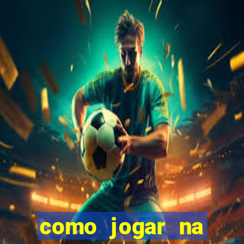 como jogar na teimosinha da lotofacil